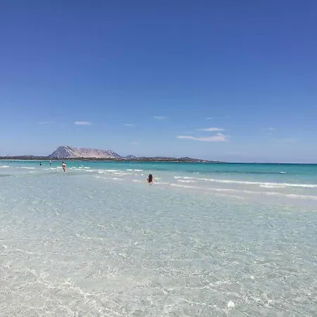 Agli Ulivi Vakantiehuis San Teodoro (Sardinia)