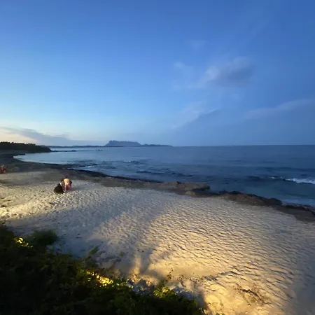 Agli Ulivi * San Teodoro (Sardinia)