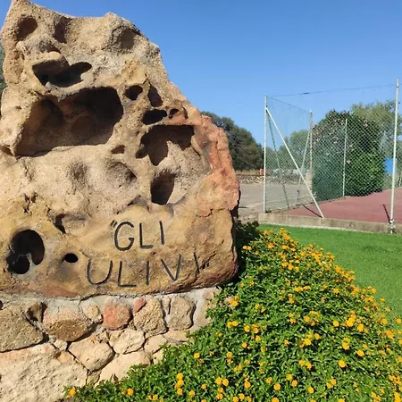 Agli Ulivi *
