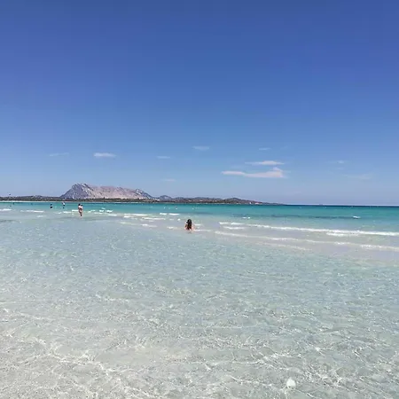 Agli Ulivi * San Teodoro (Sardinia)
