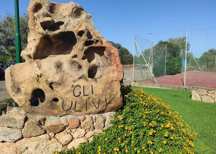 Agli Ulivi *
