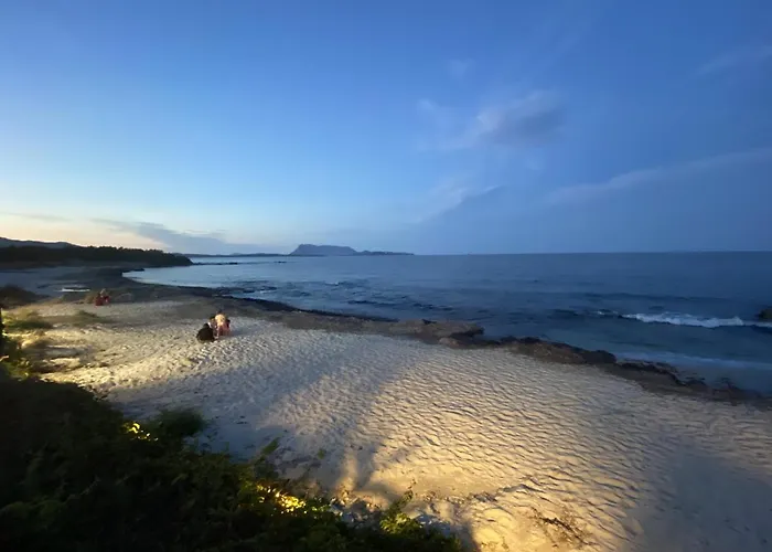 Agli Ulivi * San Teodoro (Sardinia)