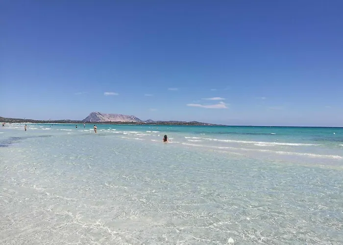 Agli Ulivi San Teodoro (Sardinia)